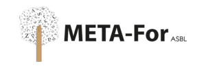 Logo Meta-For
